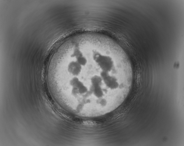 X0000114610591200912010939