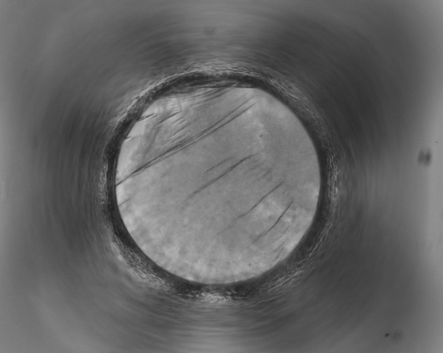 X0000114610592200912010939