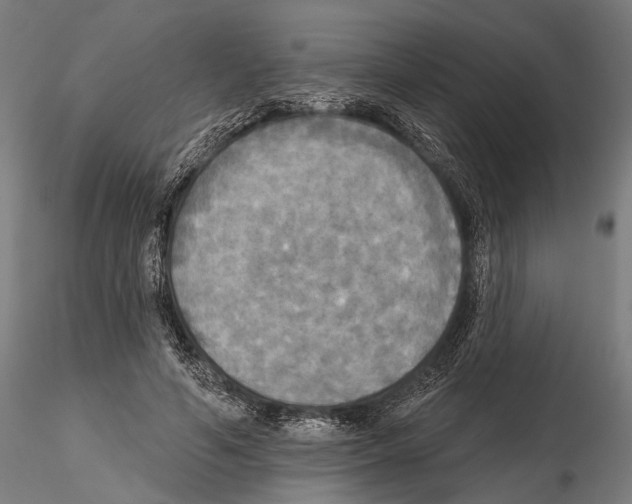 X0000114610594200912010939