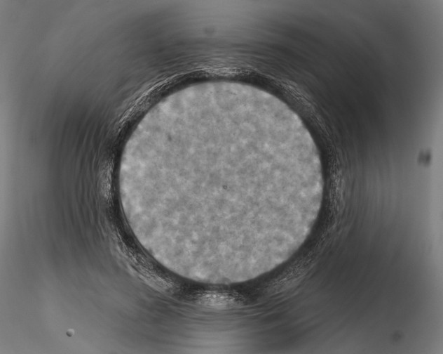 X0000114610596200912010939