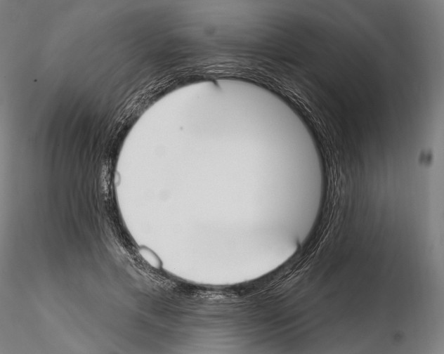 X0000114610597200912010939