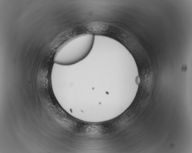 X0000114610599200912010939