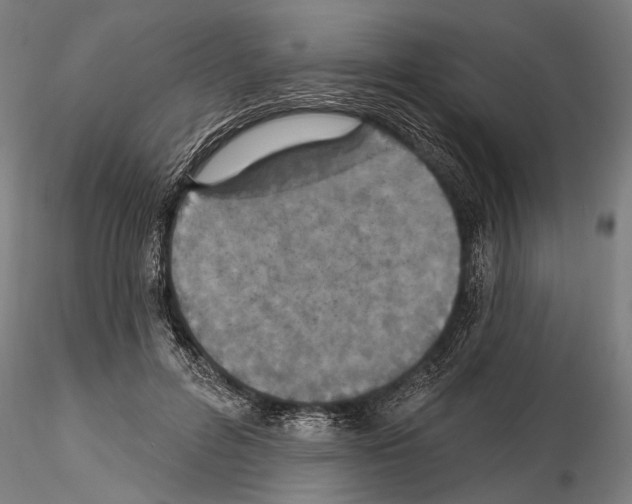 X0000114610600200912010939