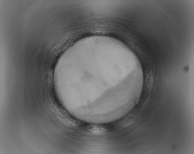 X0000114610601200912010939