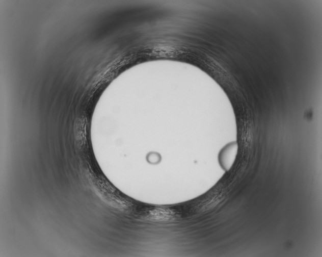 X0000114610603200912010939