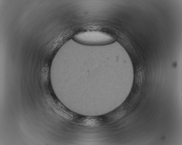 X0000114610604200912010939