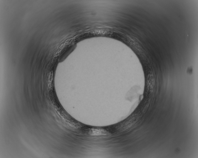 X0000114610605200912010939