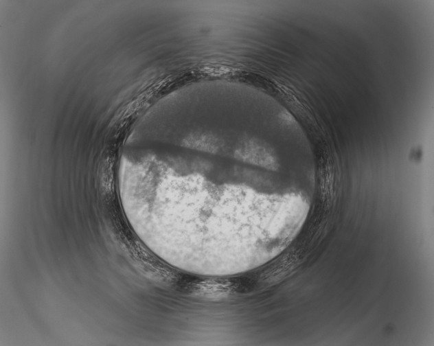 X0000114610606200912010939