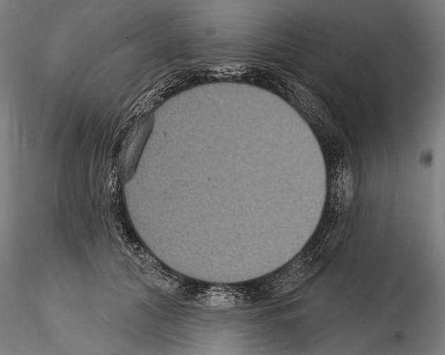 X0000114610608200912010939