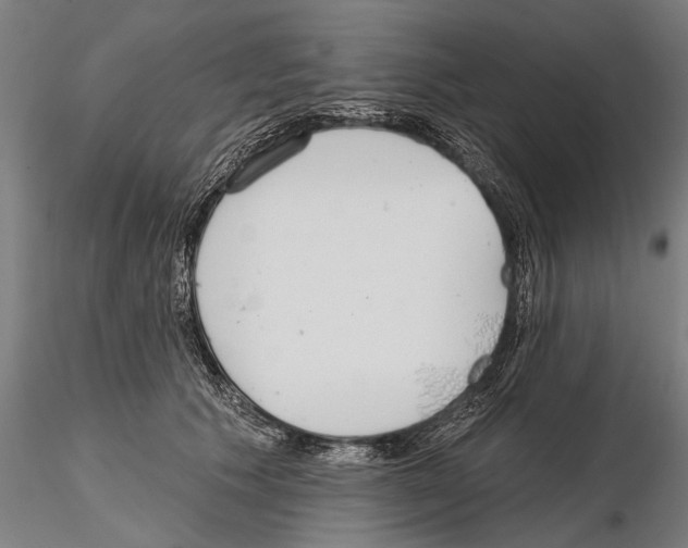 X0000114610609200912010939