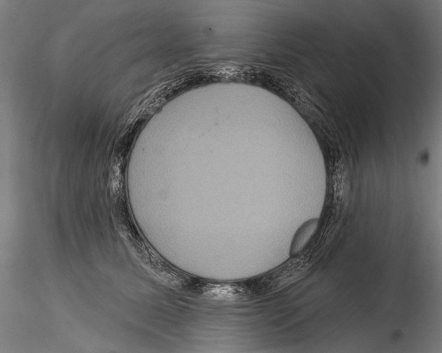 X0000114610611200912010939