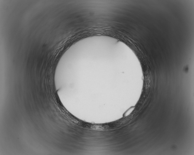 X0000114610613200912010939