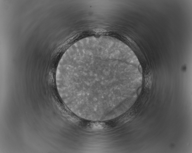 X0000114610618200912010939