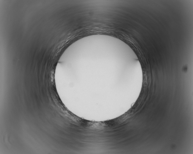 X0000114610621200912010939