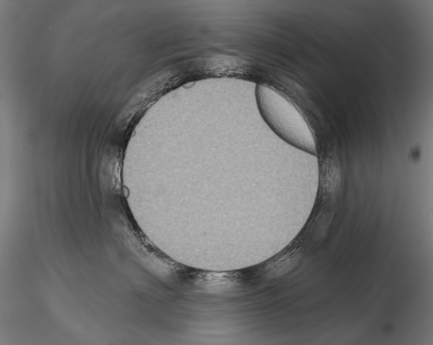 X0000114610622200912010939