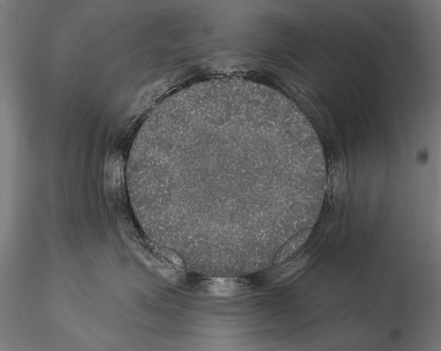 X0000114610623200912010939