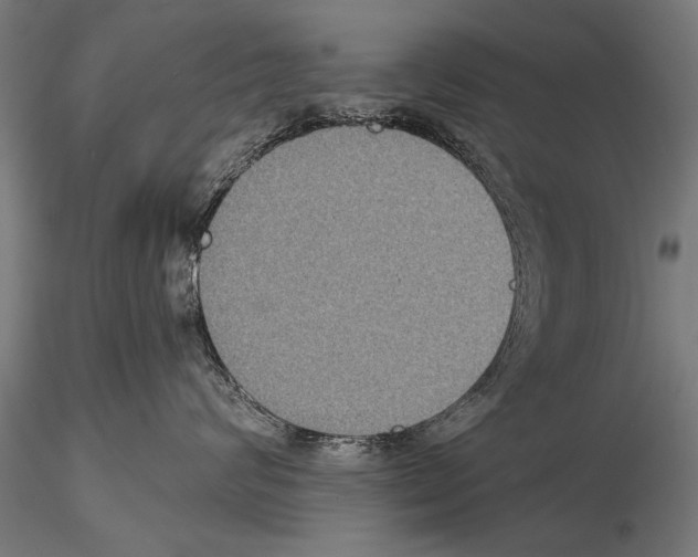 X0000114610624200912010939