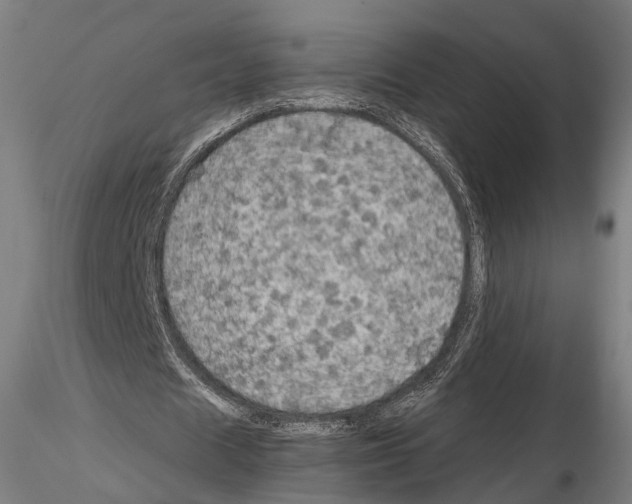 X0000114610625200912010938