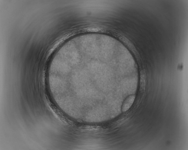 X0000114610626200912010938