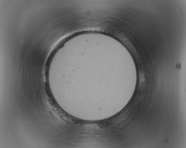 X0000114610628200912010938