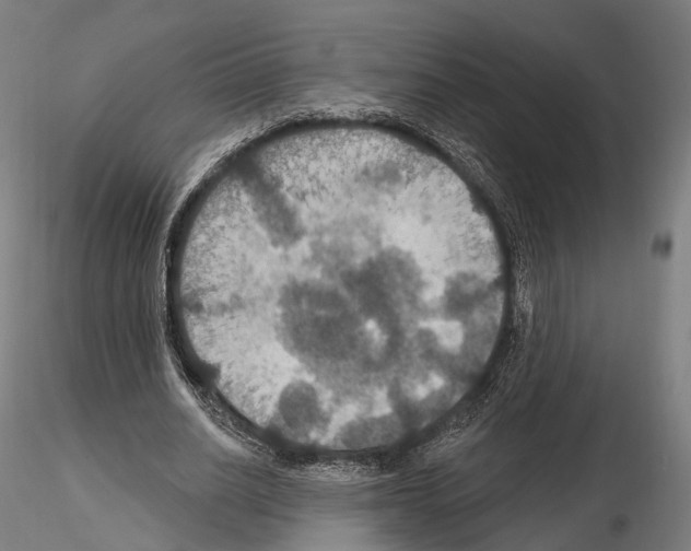 X0000114610630200912010938