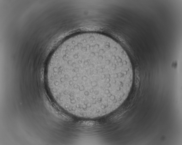 X0000114610631200912010938