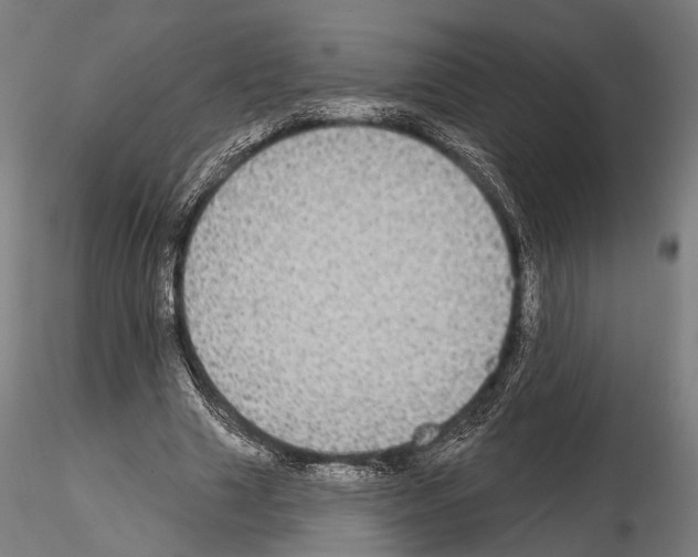 X0000114610633200912010938