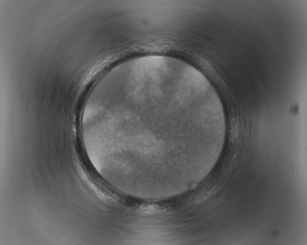 X0000114610634200912010938