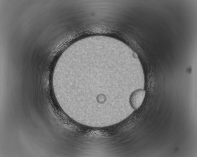 X0000114610635200912010938