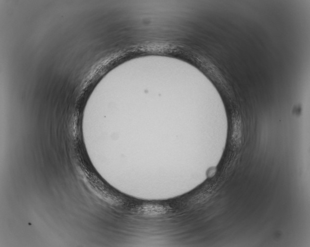 X0000114610636200912010938