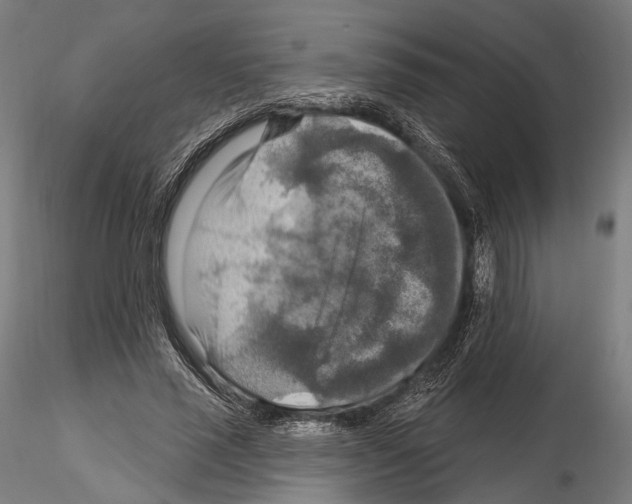 X0000114610637200912010938