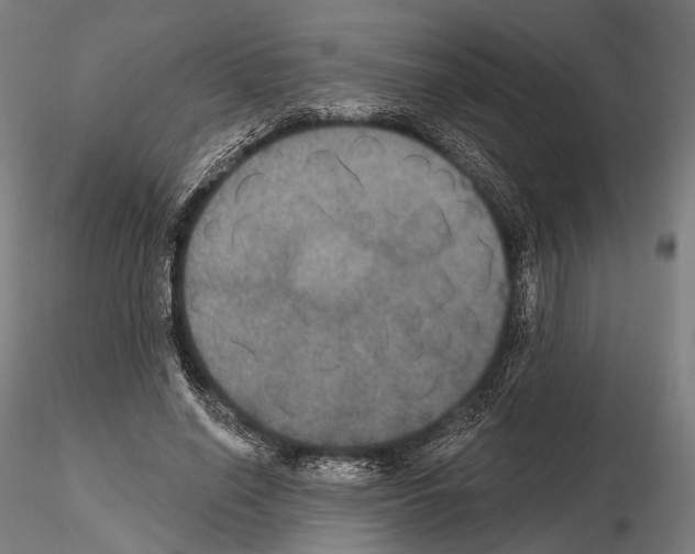 X0000114610638200912010938