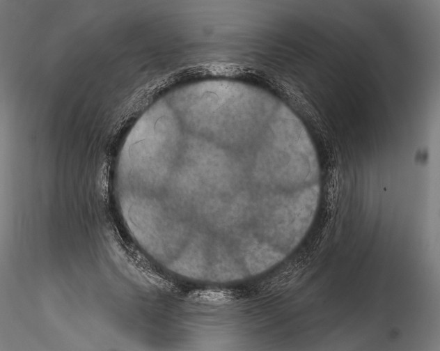 X0000114610639200912010938