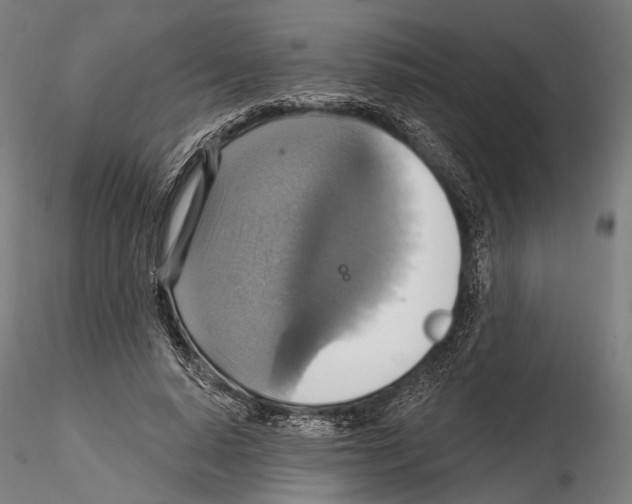 X0000114610640200912010938