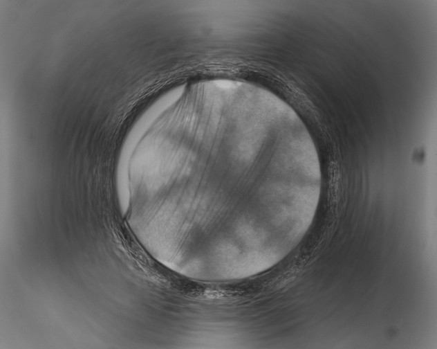 X0000114610641200912010938