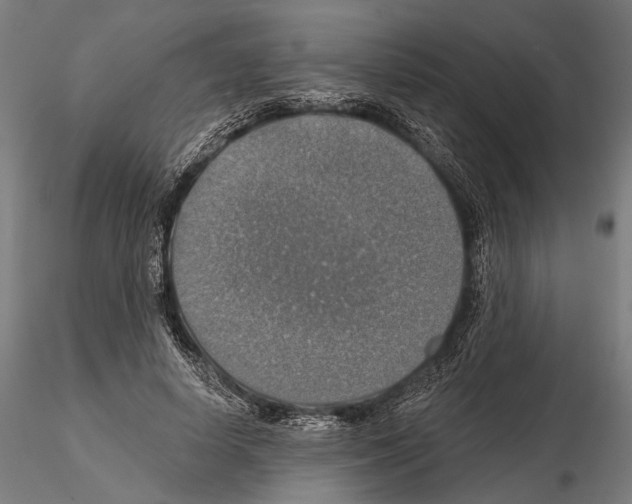 X0000114610642200912010938