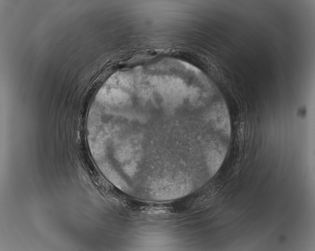 X0000114610643200912010938