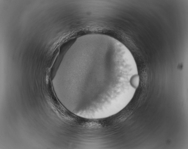 X0000114610644200912010938