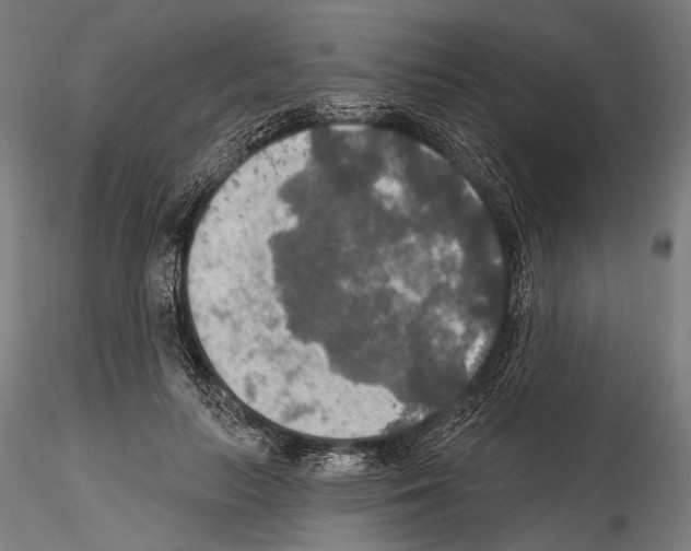 X0000114610647200912010938