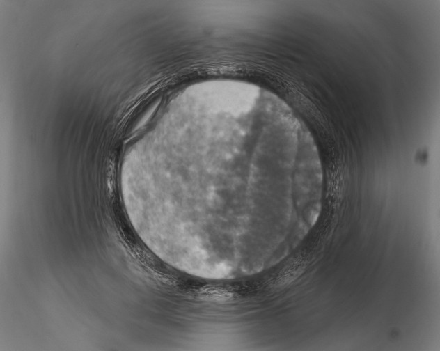 X0000114610648200912010938