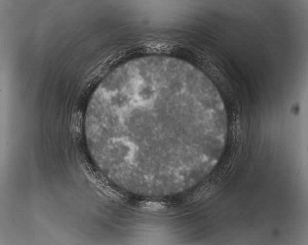 X0000114610649200912010938