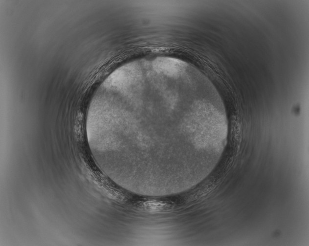 X0000114610650200912010938