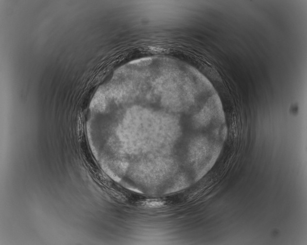 X0000114610651200912010938