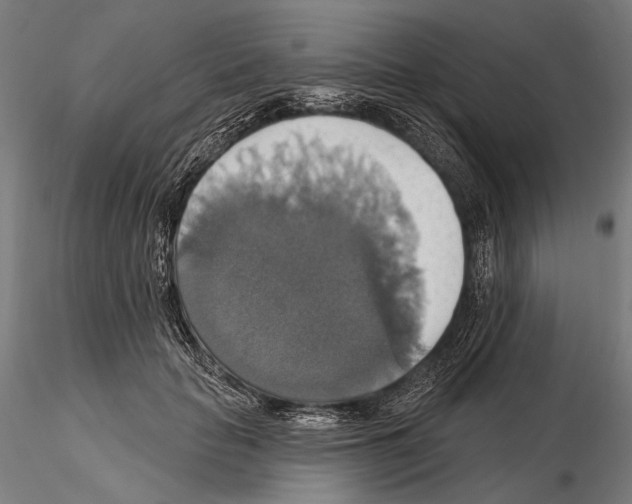 X0000114610653200912010938