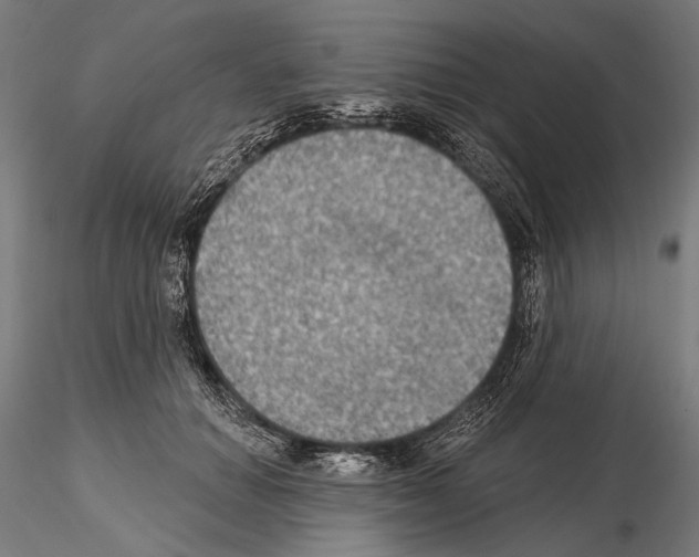 X0000114610654200912010938