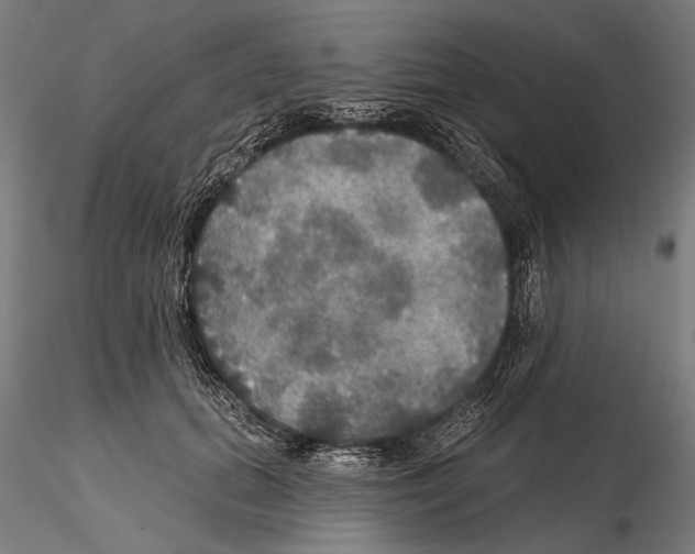 X0000114610655200912010938