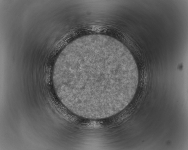 X0000114610656200912010938