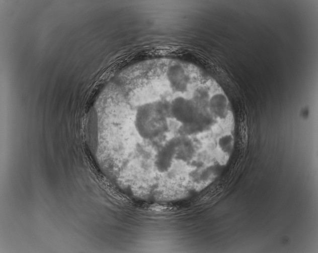 X0000114610657200912010938