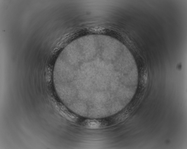 X0000114610658200912010938