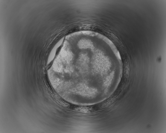 X0000114610661200912010938